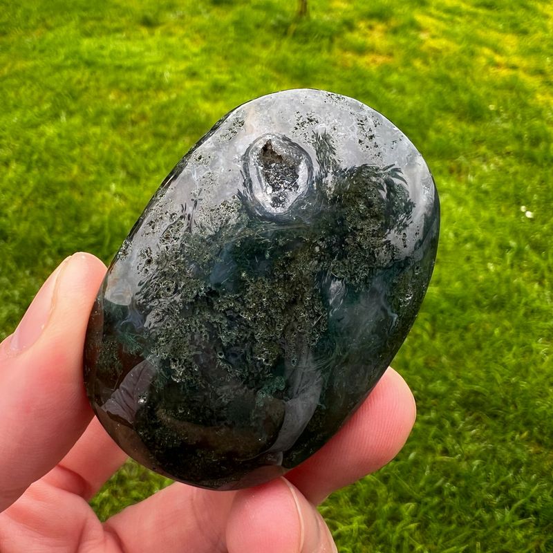 Moss Agate Palm