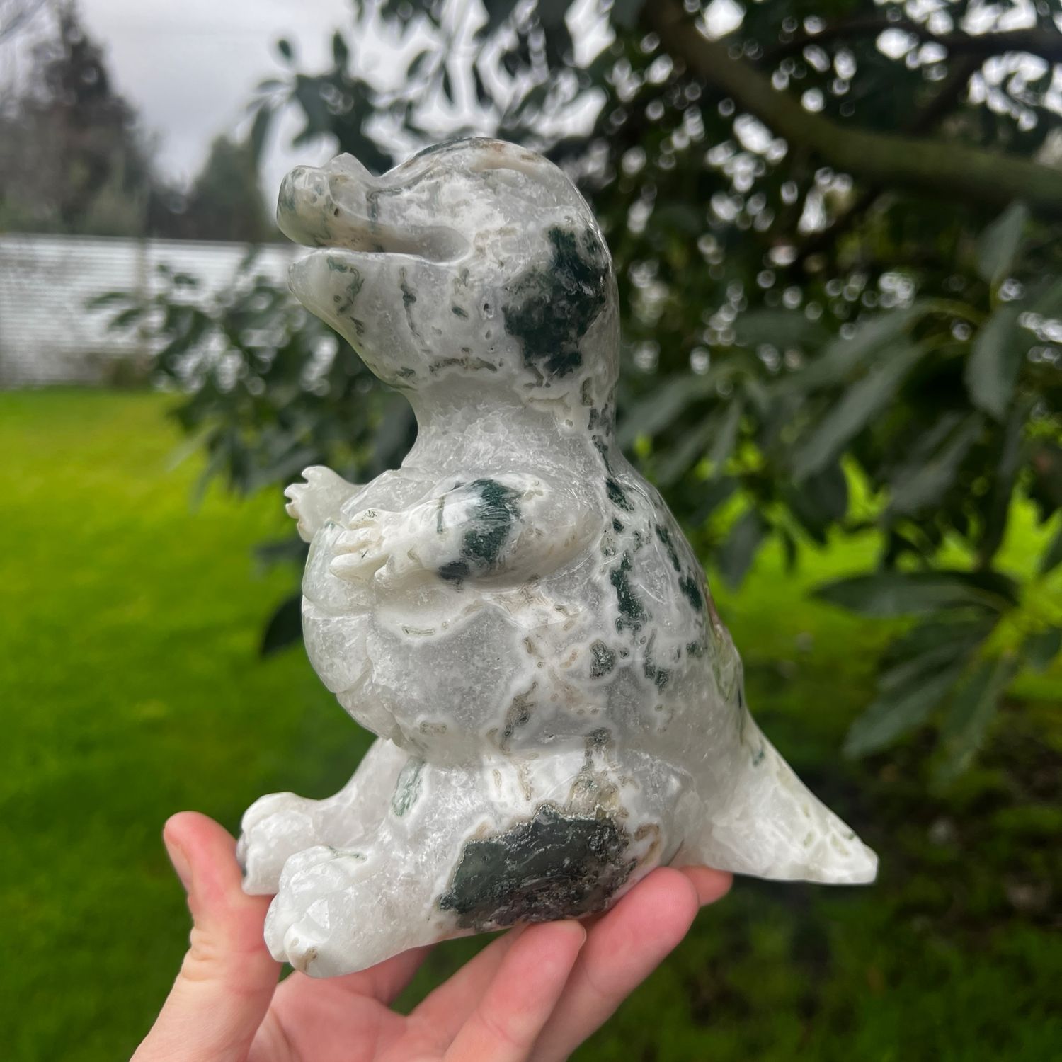 Moss Agate Dinosaur 1.2KG