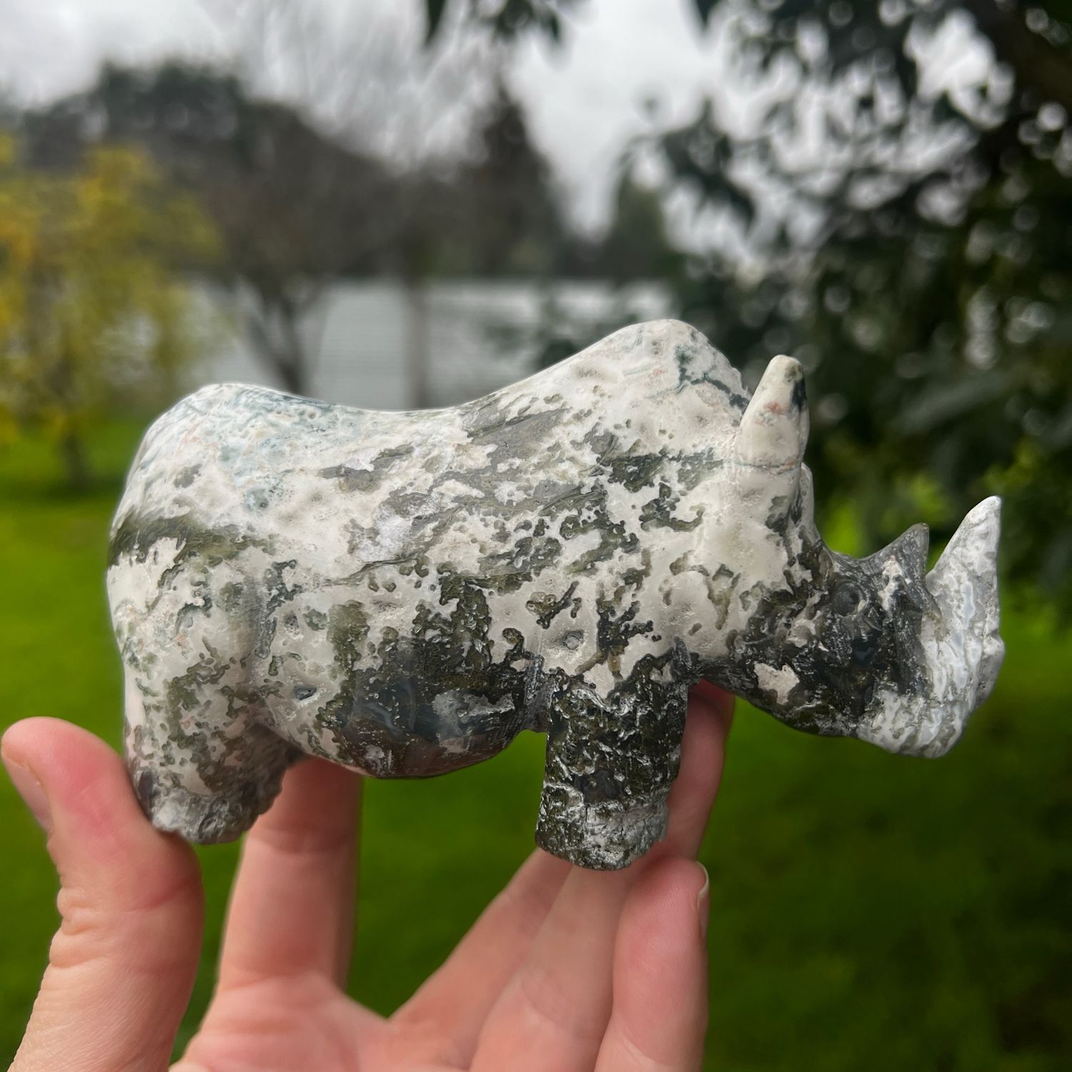 Moss Agate Rhino