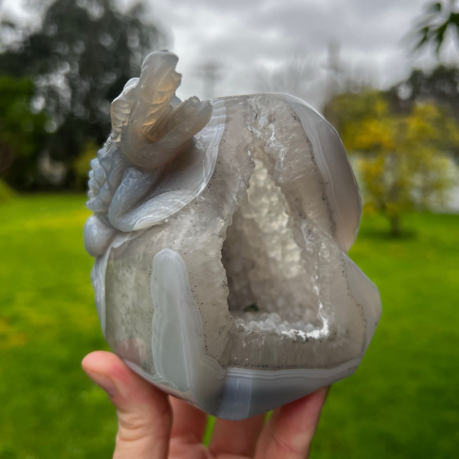 Druzy Agate Crocodile On Druzy Cave 1.1KG
