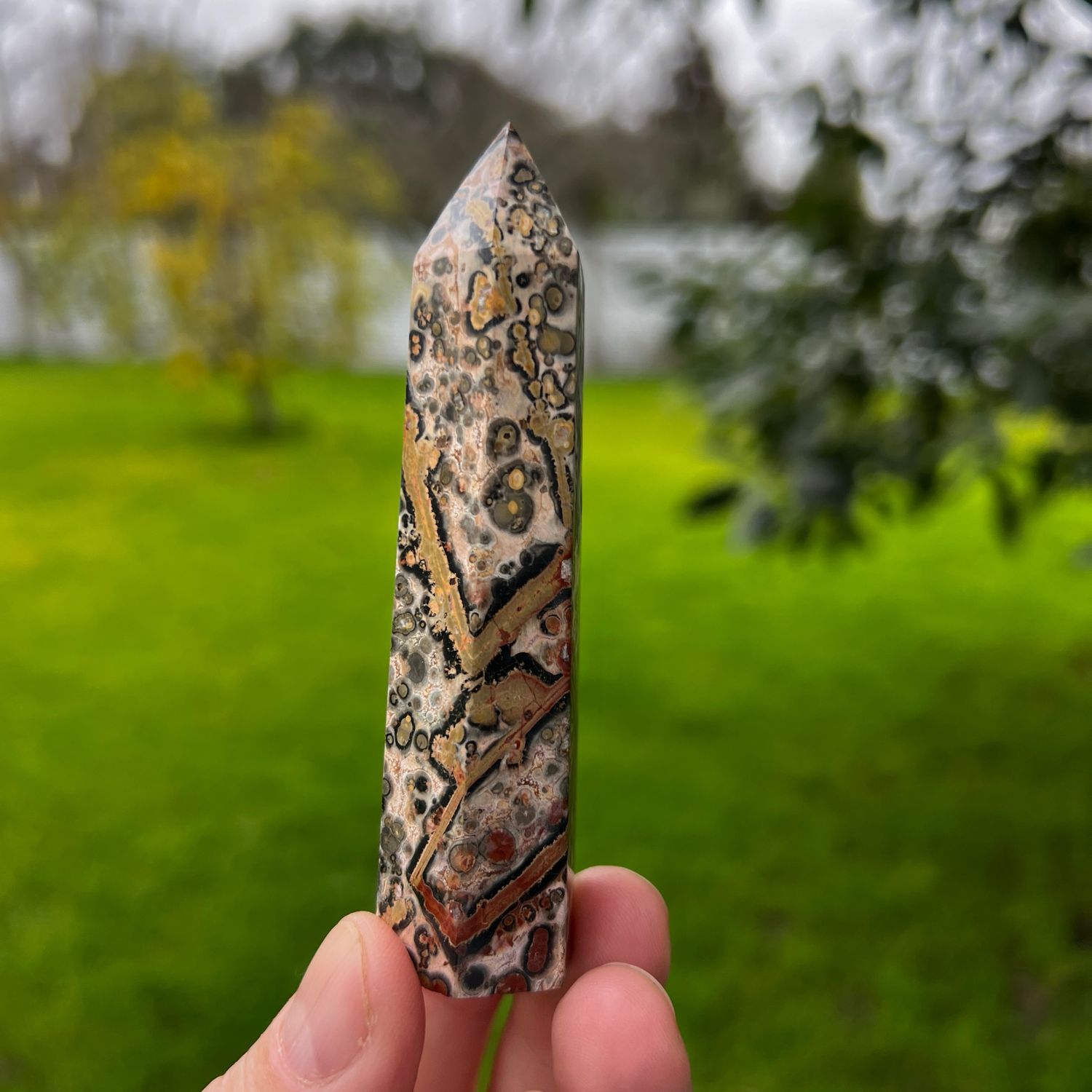 Leopard Skin Jasper