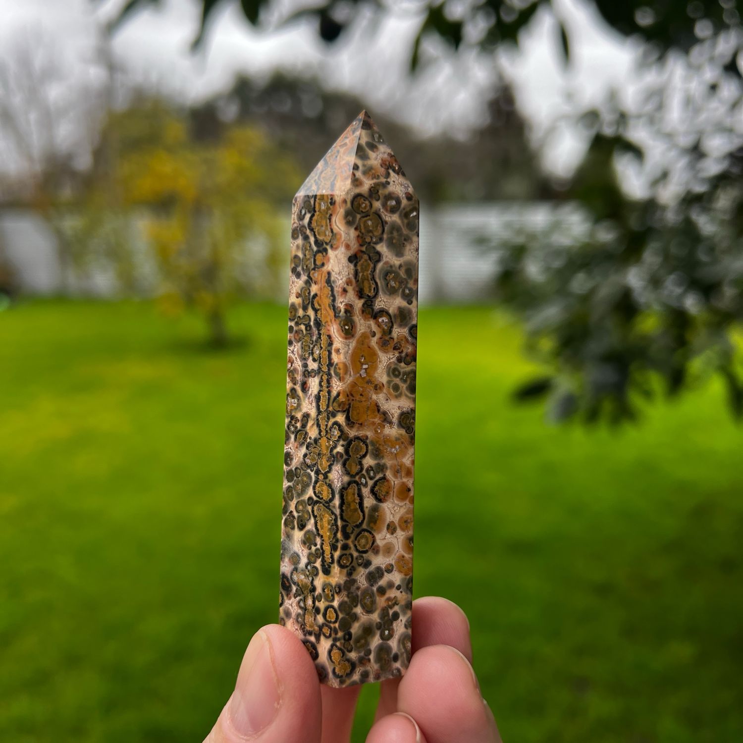 Leopard Skin Jasper