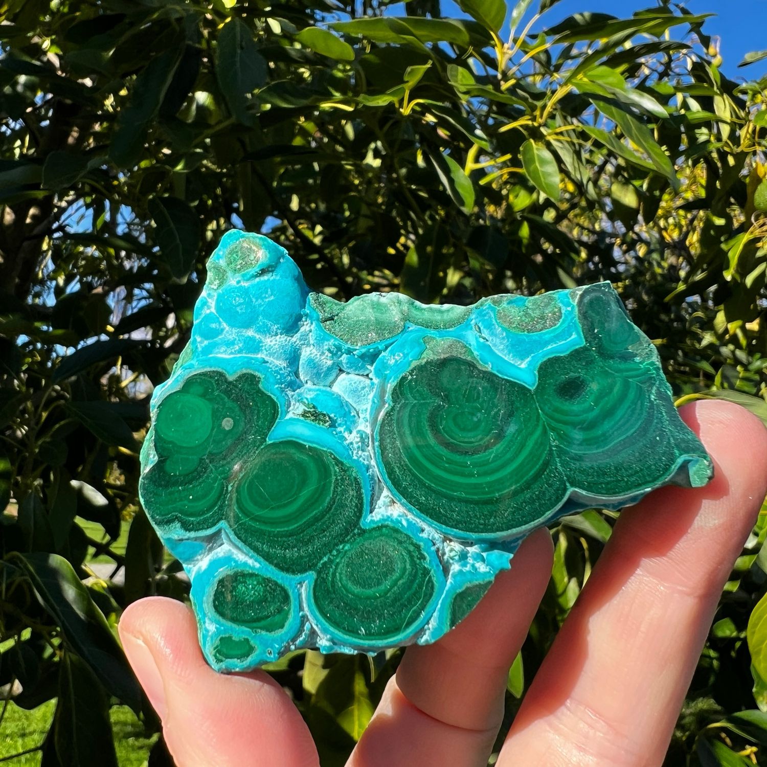 Malachite With Chrysocolla