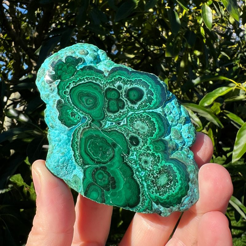 Malachite With Chrysocolla