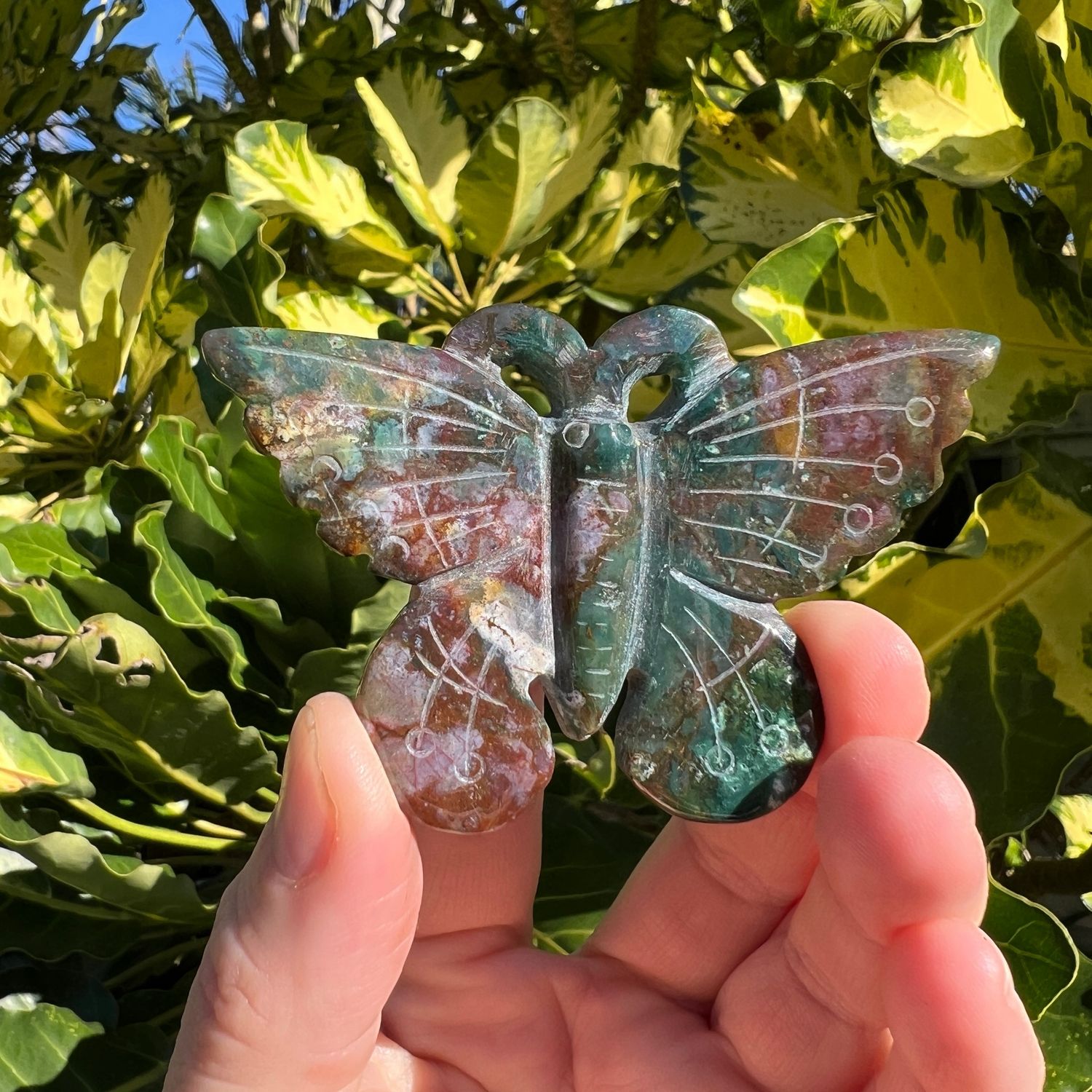 Ocean Jasper Butterfly