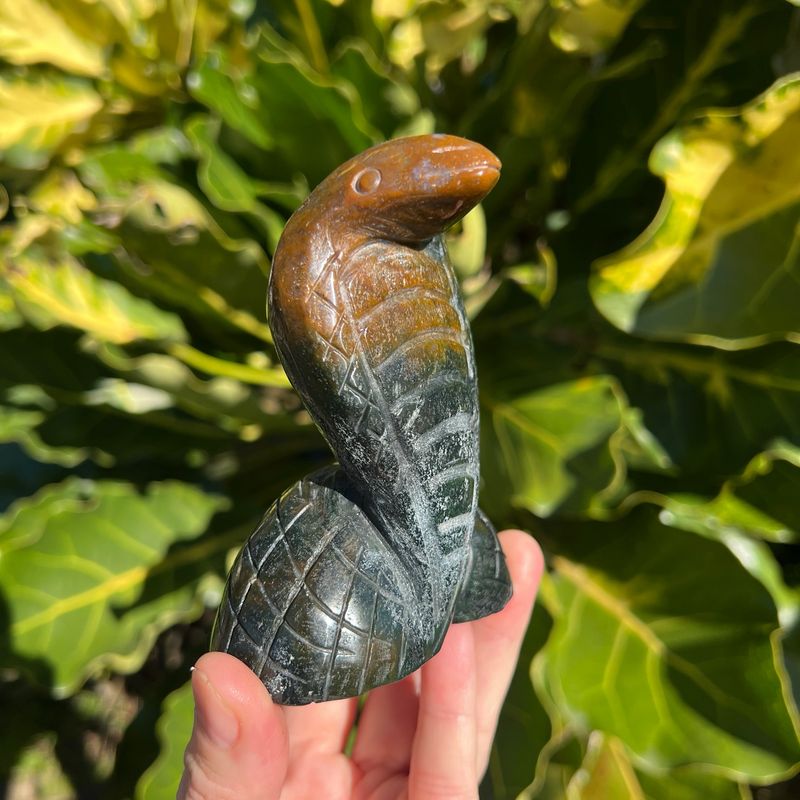 Ocean Jasper Cobra Snake