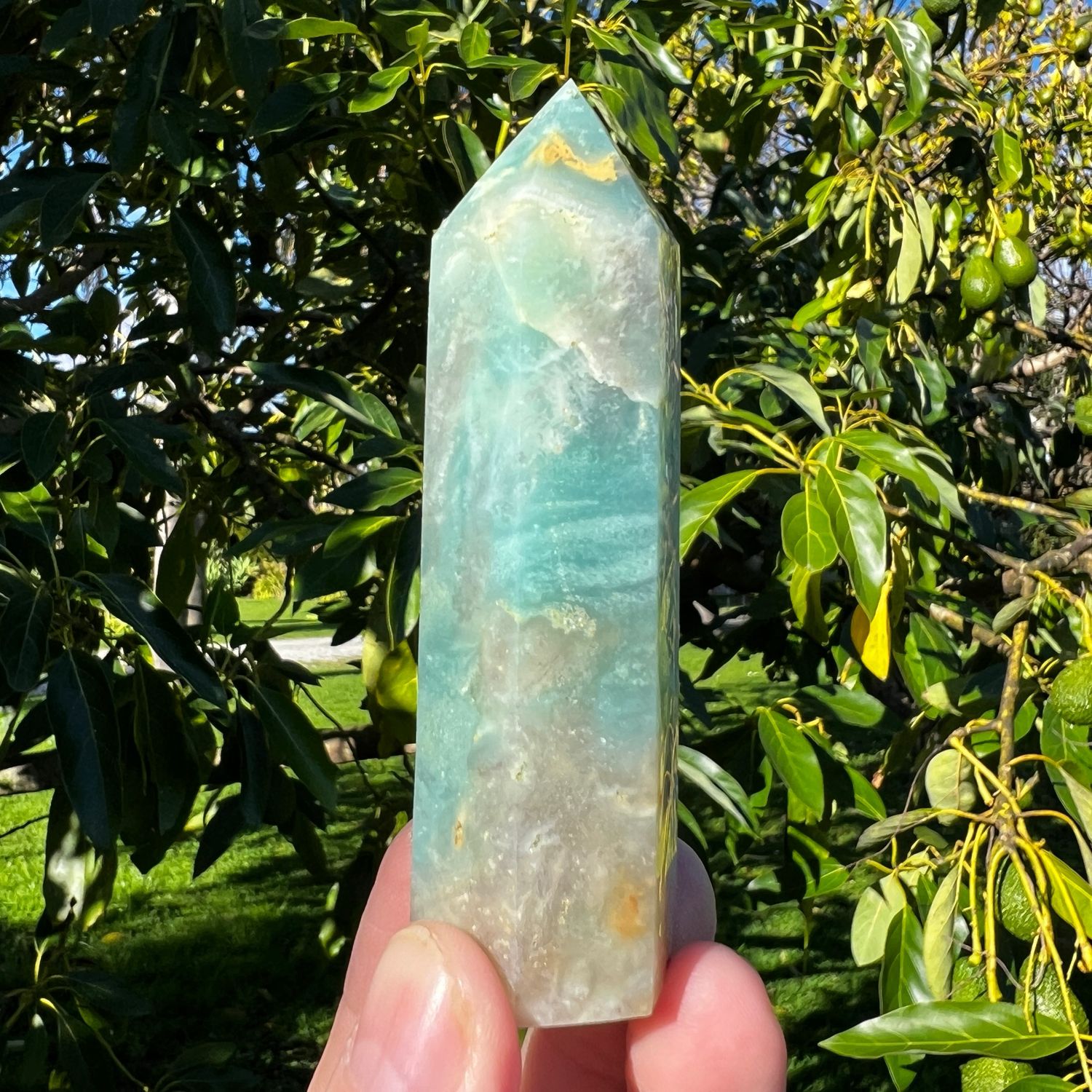 Caribbean Calcite Point
