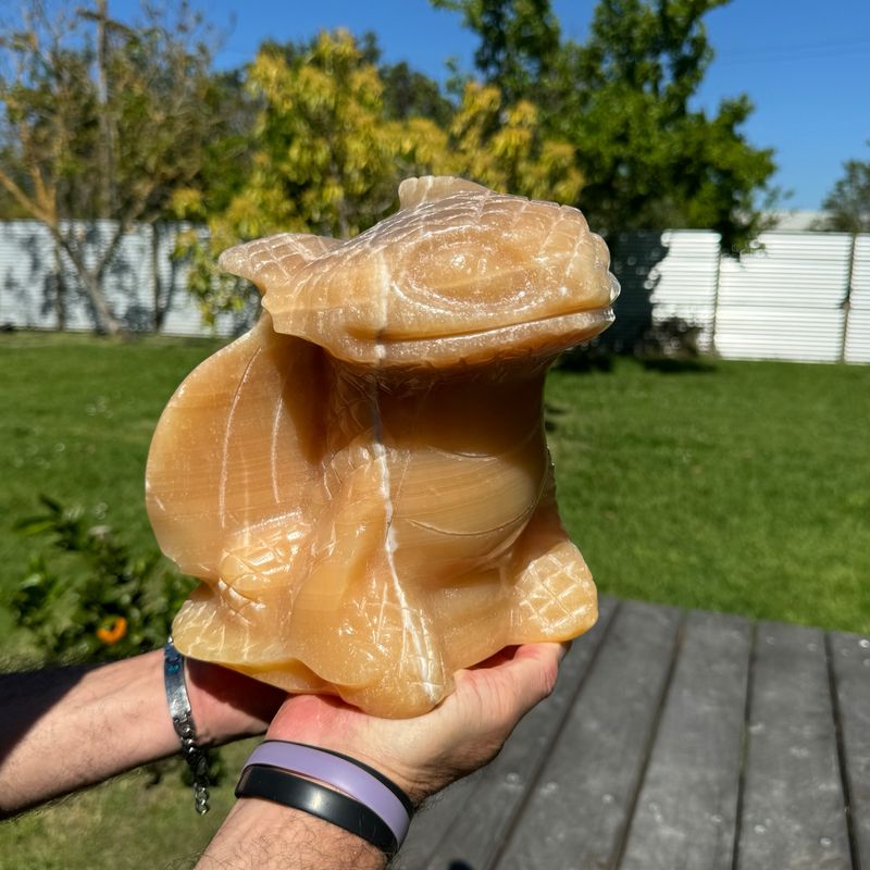 8.7KG Orange Calcite Toothless 🧡