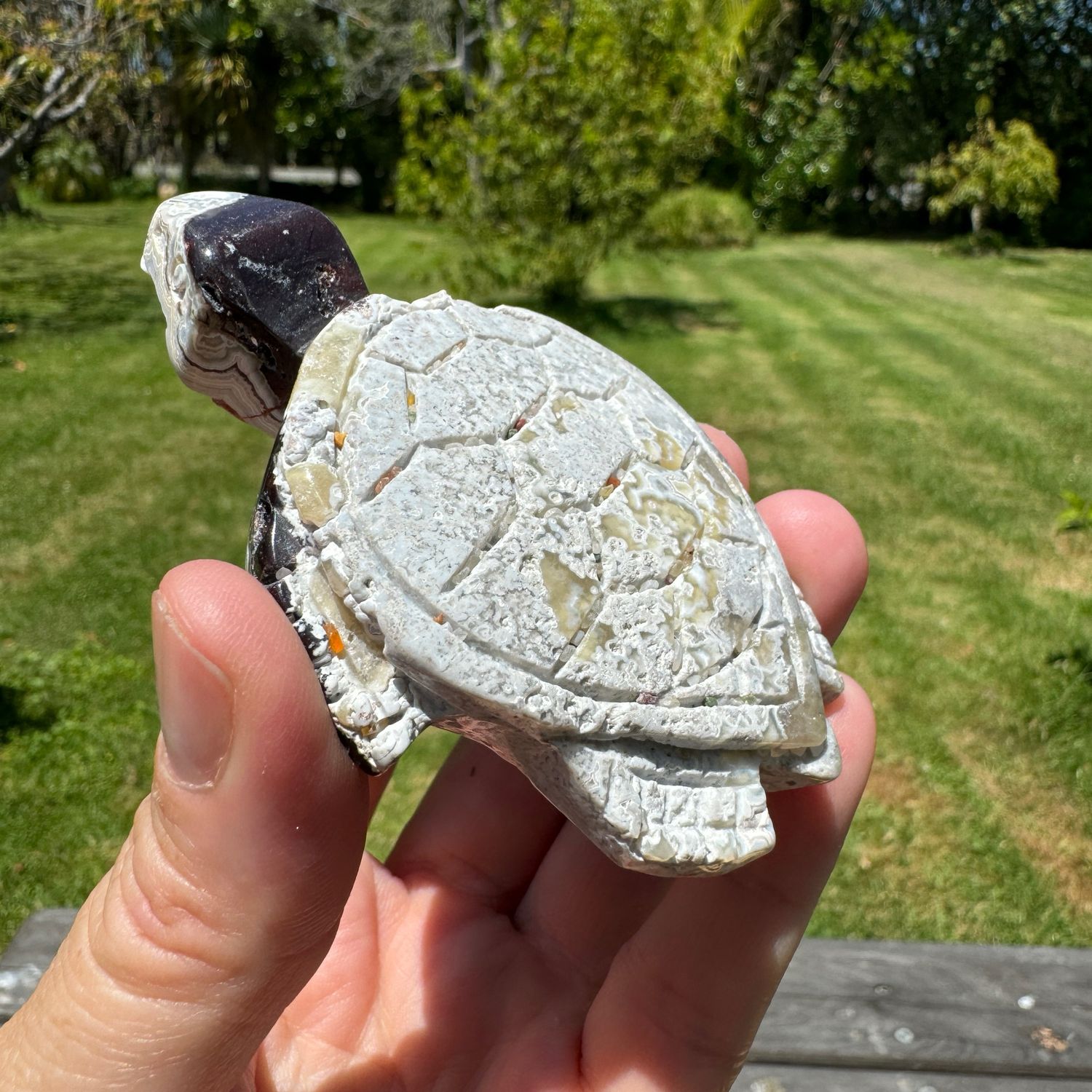 Mexican Crazy Lace Agate Turtle