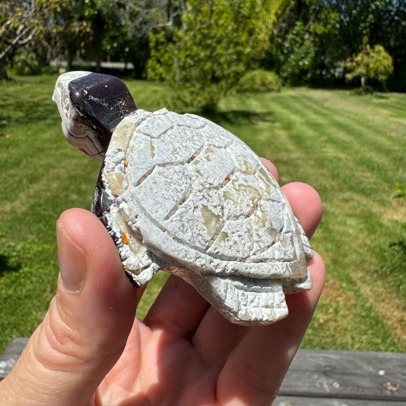 Mexican Crazy Lace Agate Turtle