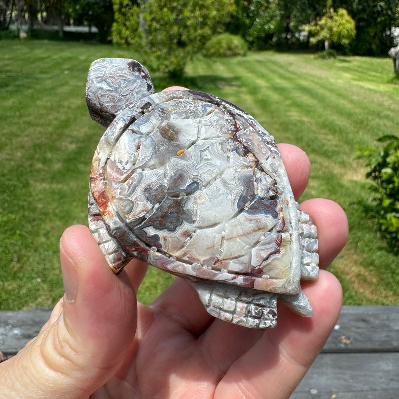 Mexican Crazy Lace Agate Turtle