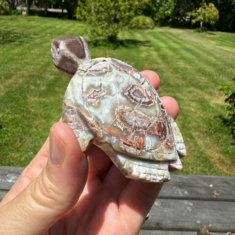 Mexican Crazy Lace Agate Turtle