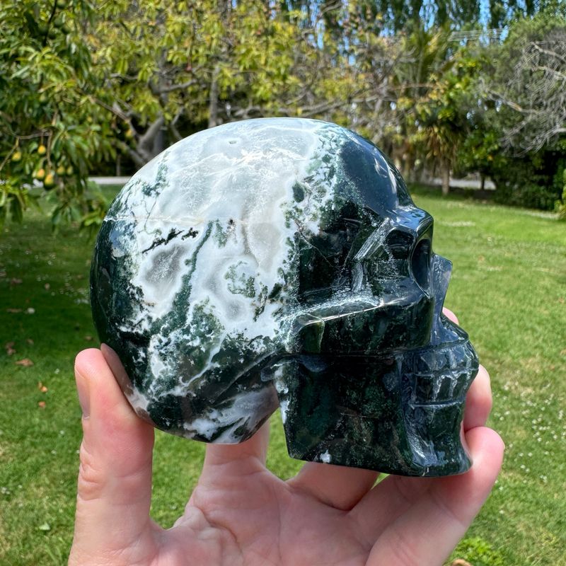 Moss Agate Skull 1KG