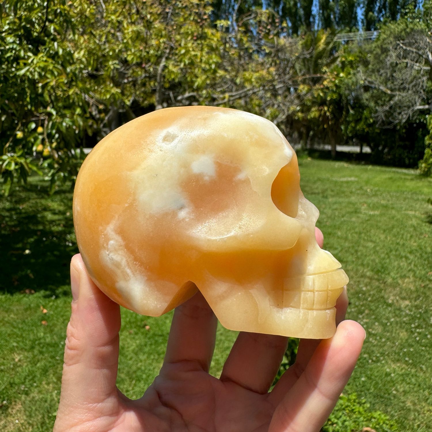 Orange Calcite Skull