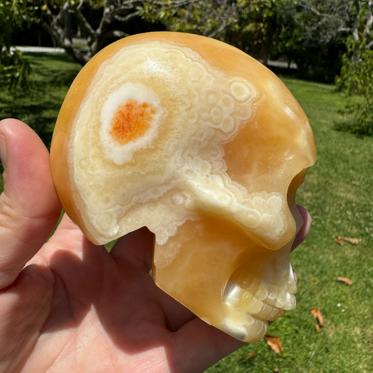 Orange Calcite Skull 976 grams