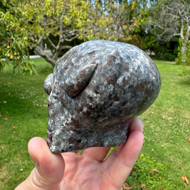 Yooperlite Alien Skull