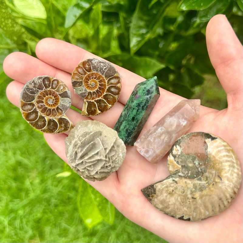 Ammonite Fossil, Flower Agate, Ruby Zoisite And Desert Selenite Pack