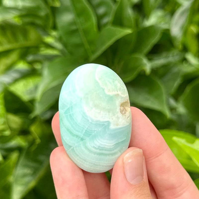 Caribbean Calcite Palm Stone