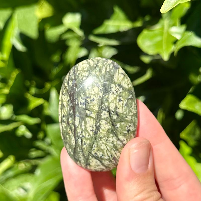Serpentine Palm Stone