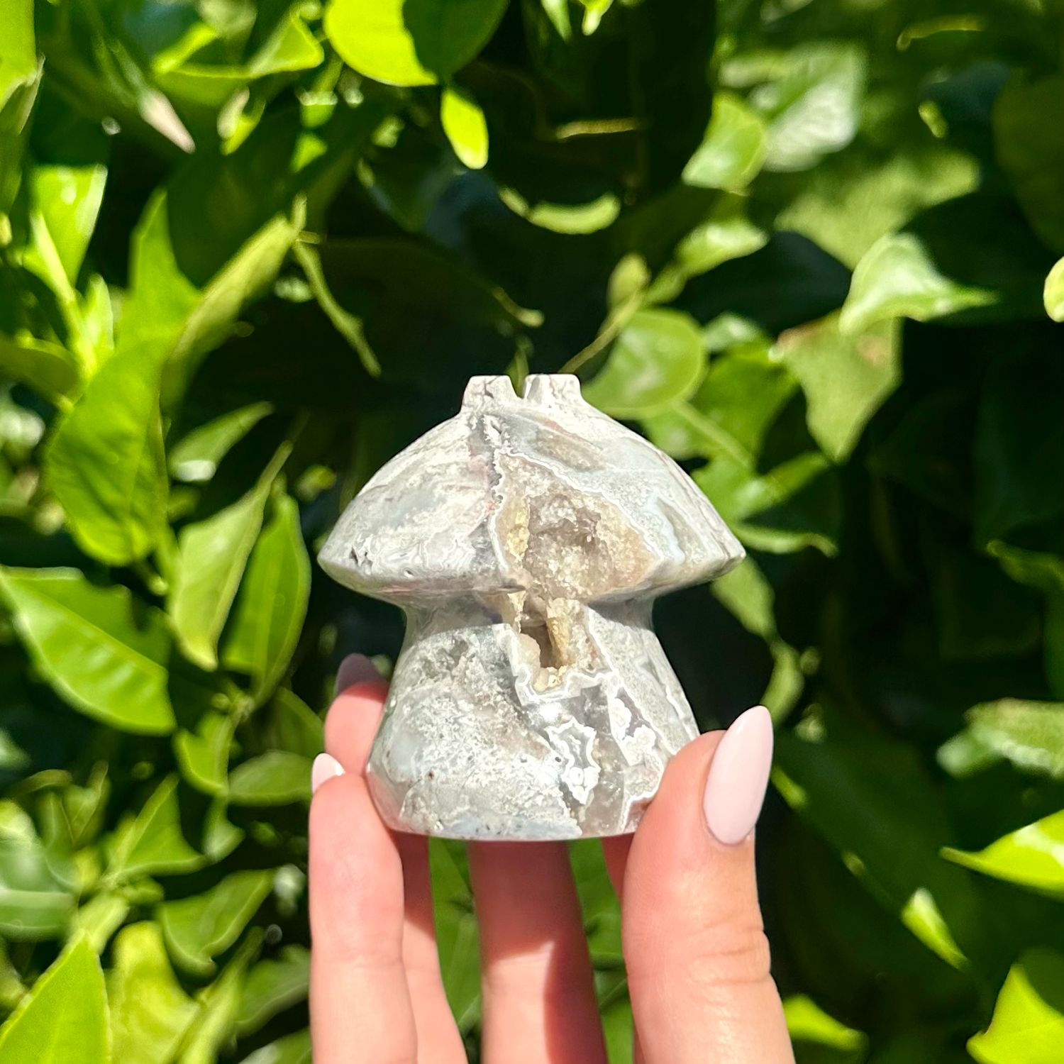 Mexican Crazy Lace Agate Mushroom House