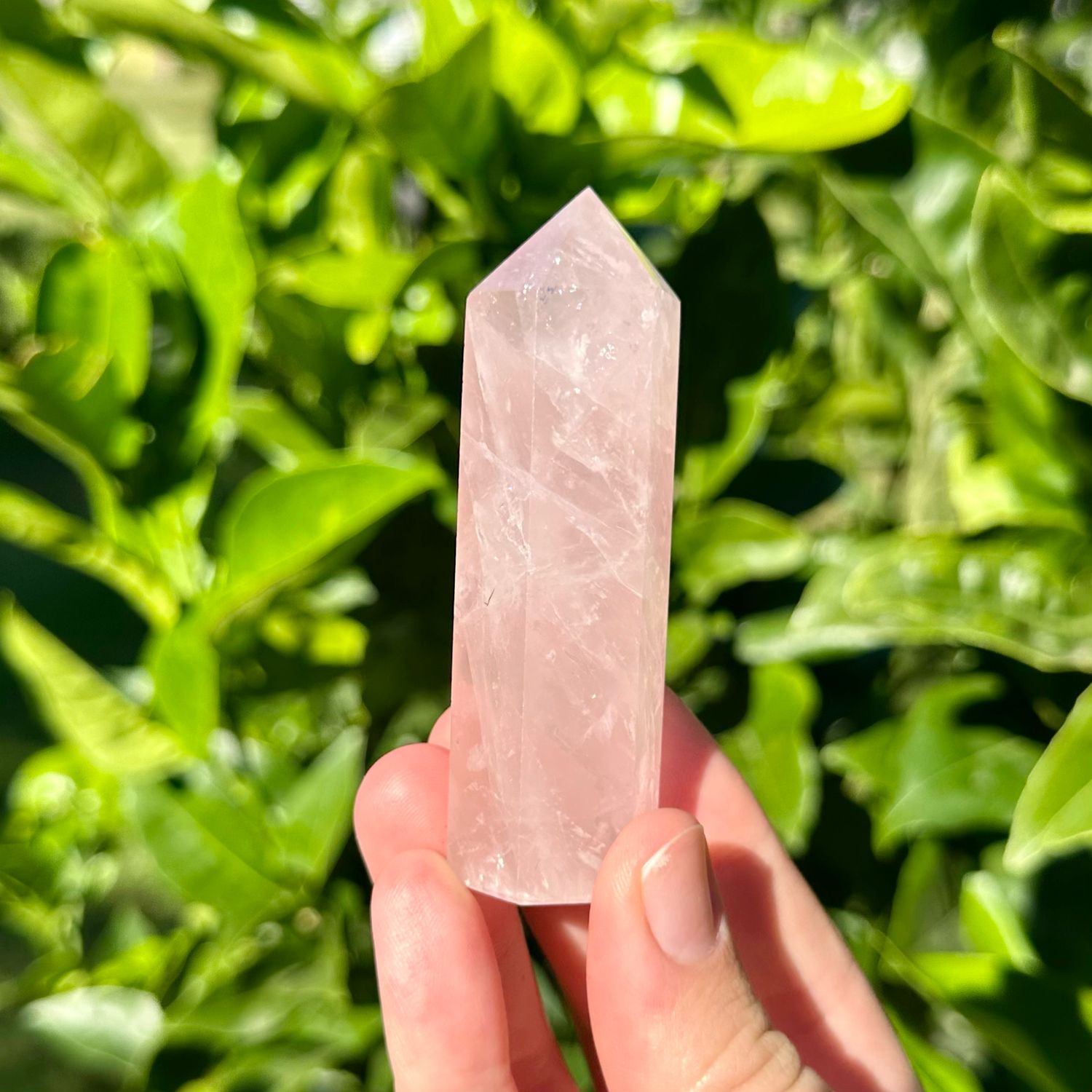 Rose Quartz Point