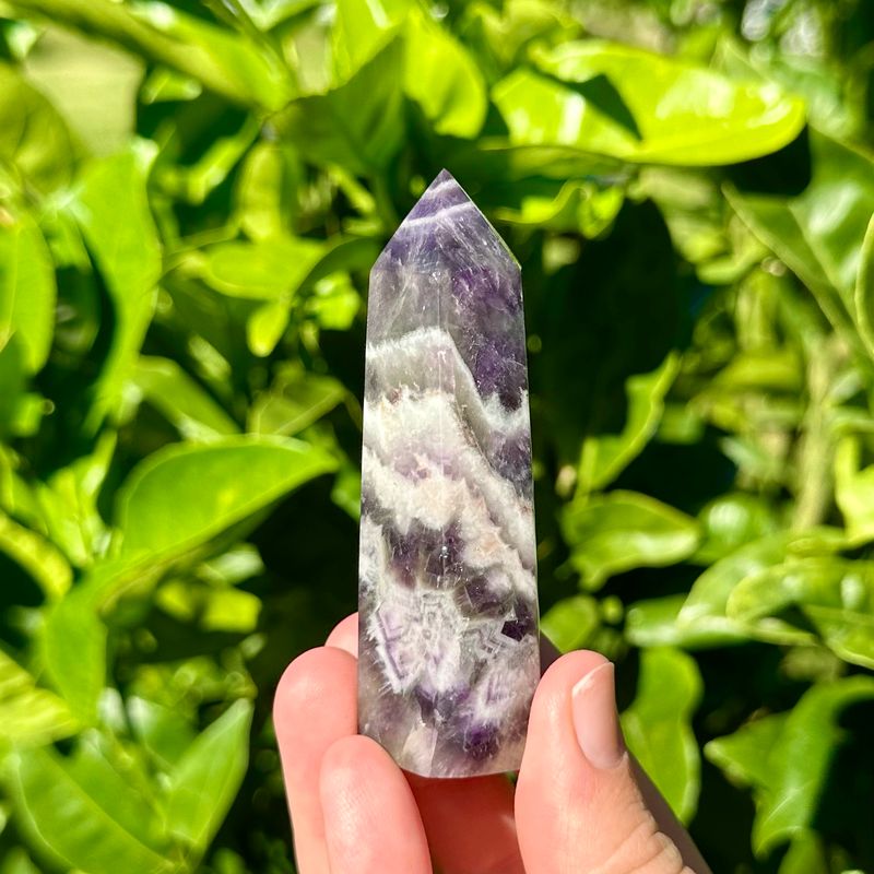 Chevron Amethyst Point
