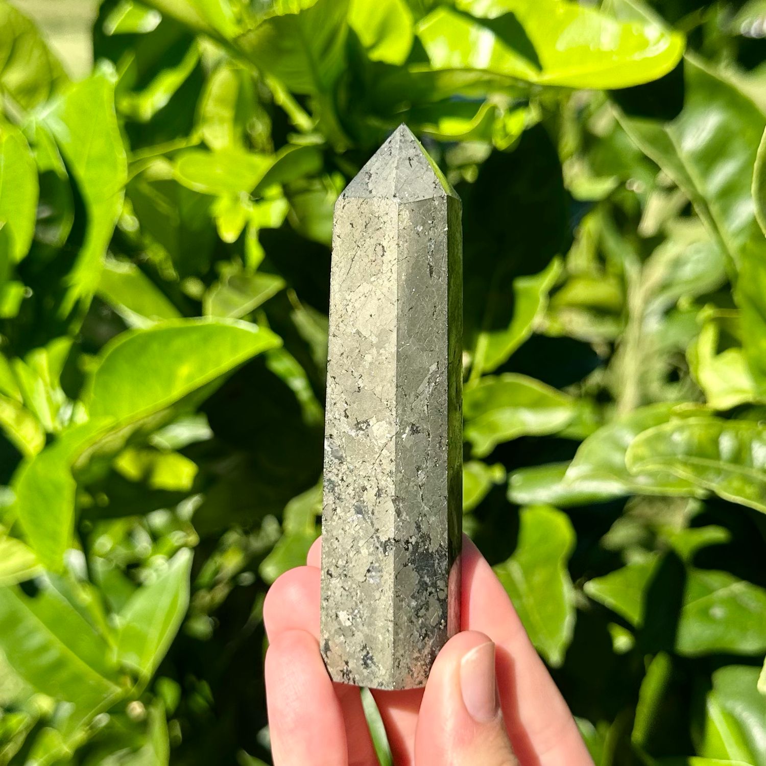 Pyrite Point