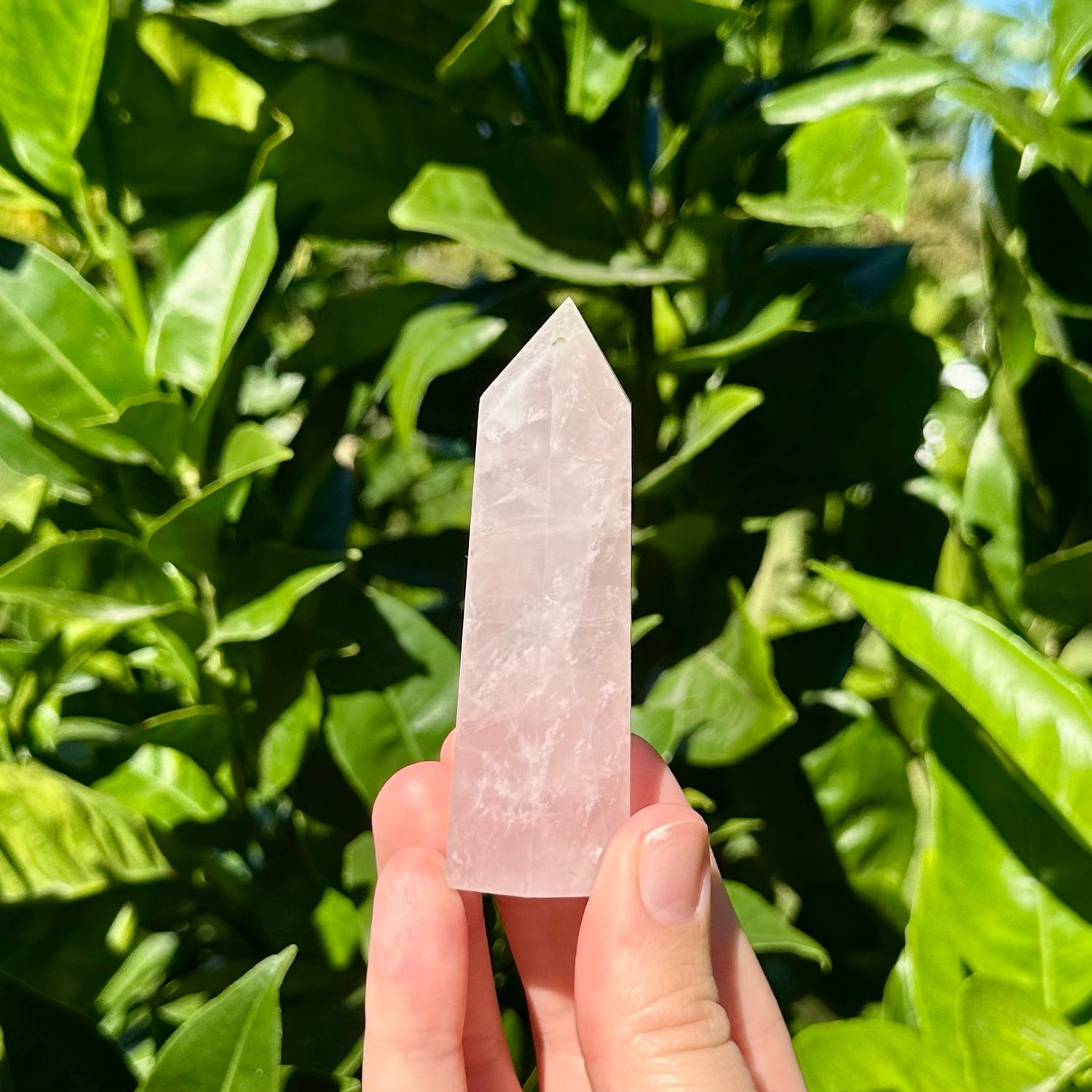 Rose Quartz Point