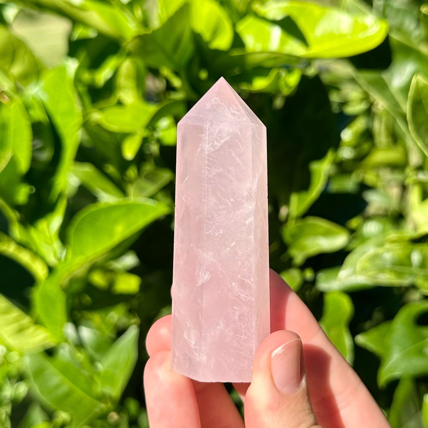 Rose Quartz Point