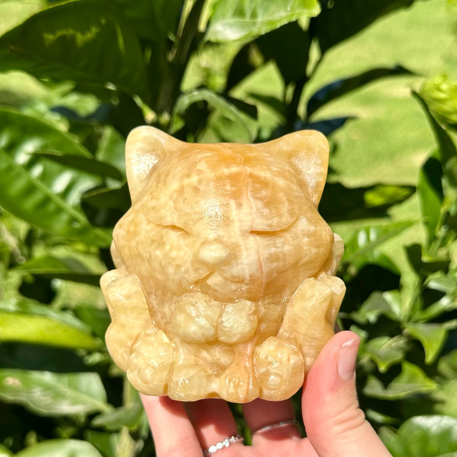 Orange Calcite 9 Tailed Fox