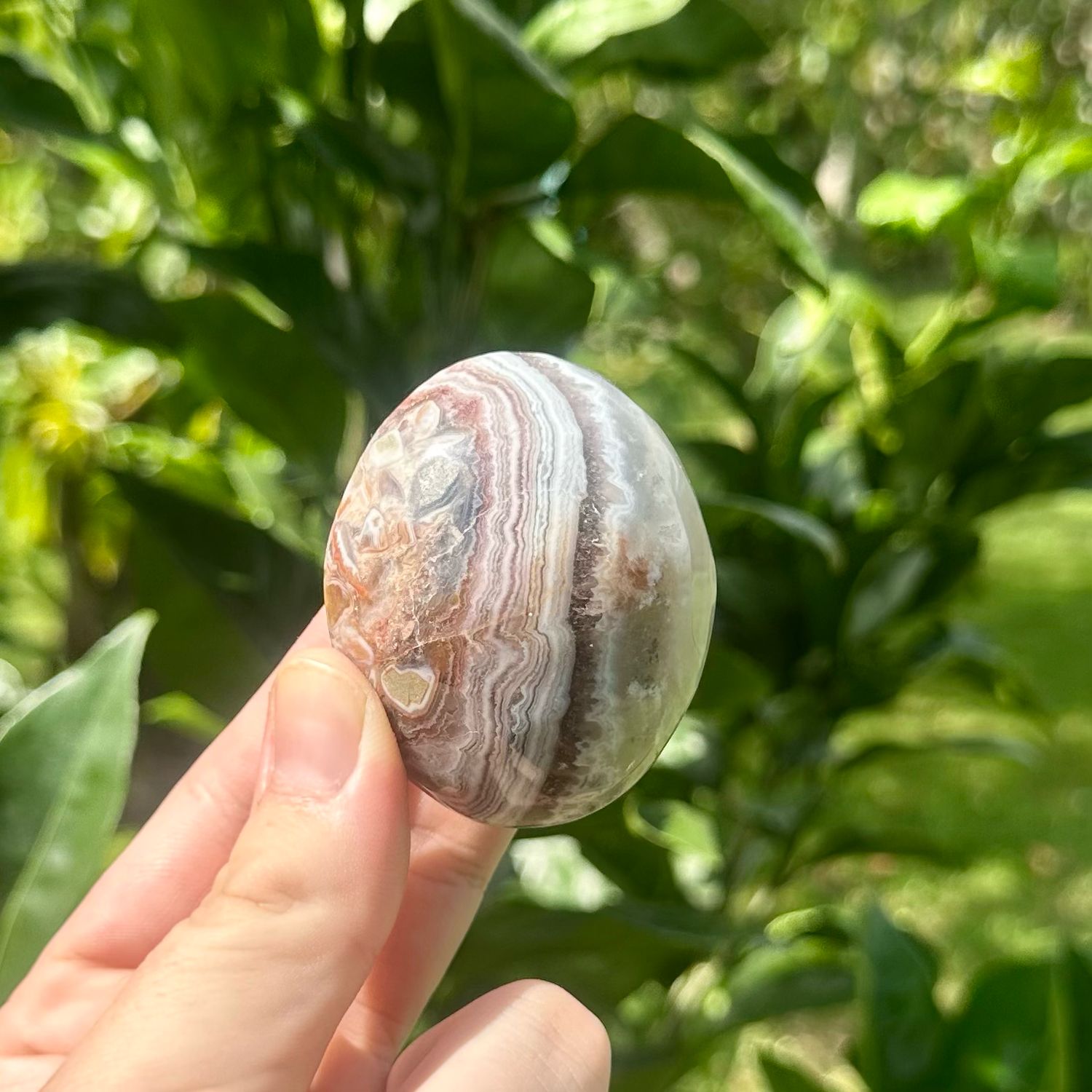 Amethyst And Mexican Lace Agate Palm
