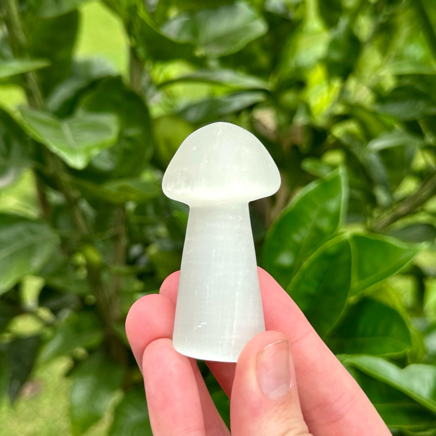 Selenite Mushroom