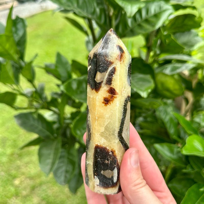 Septarian Tower