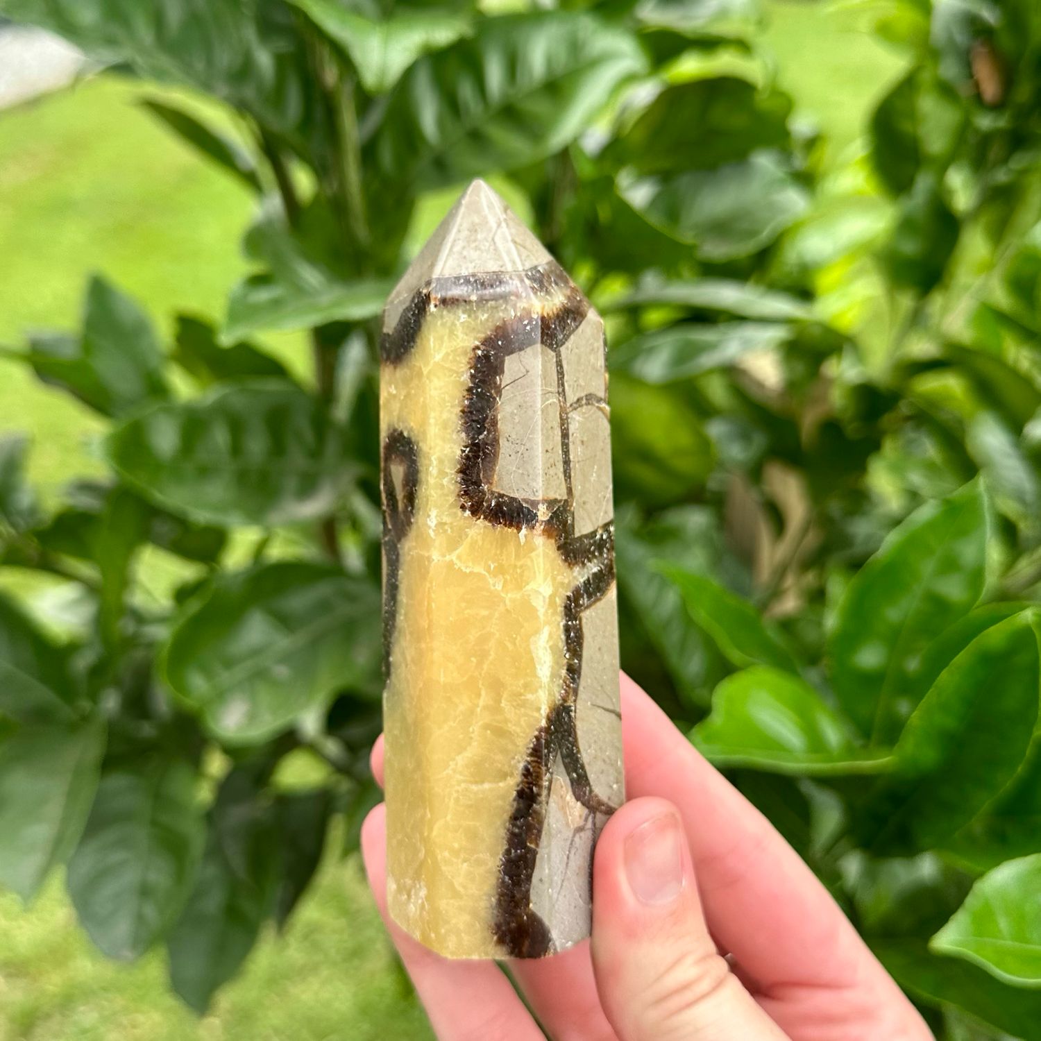 Septarian Tower