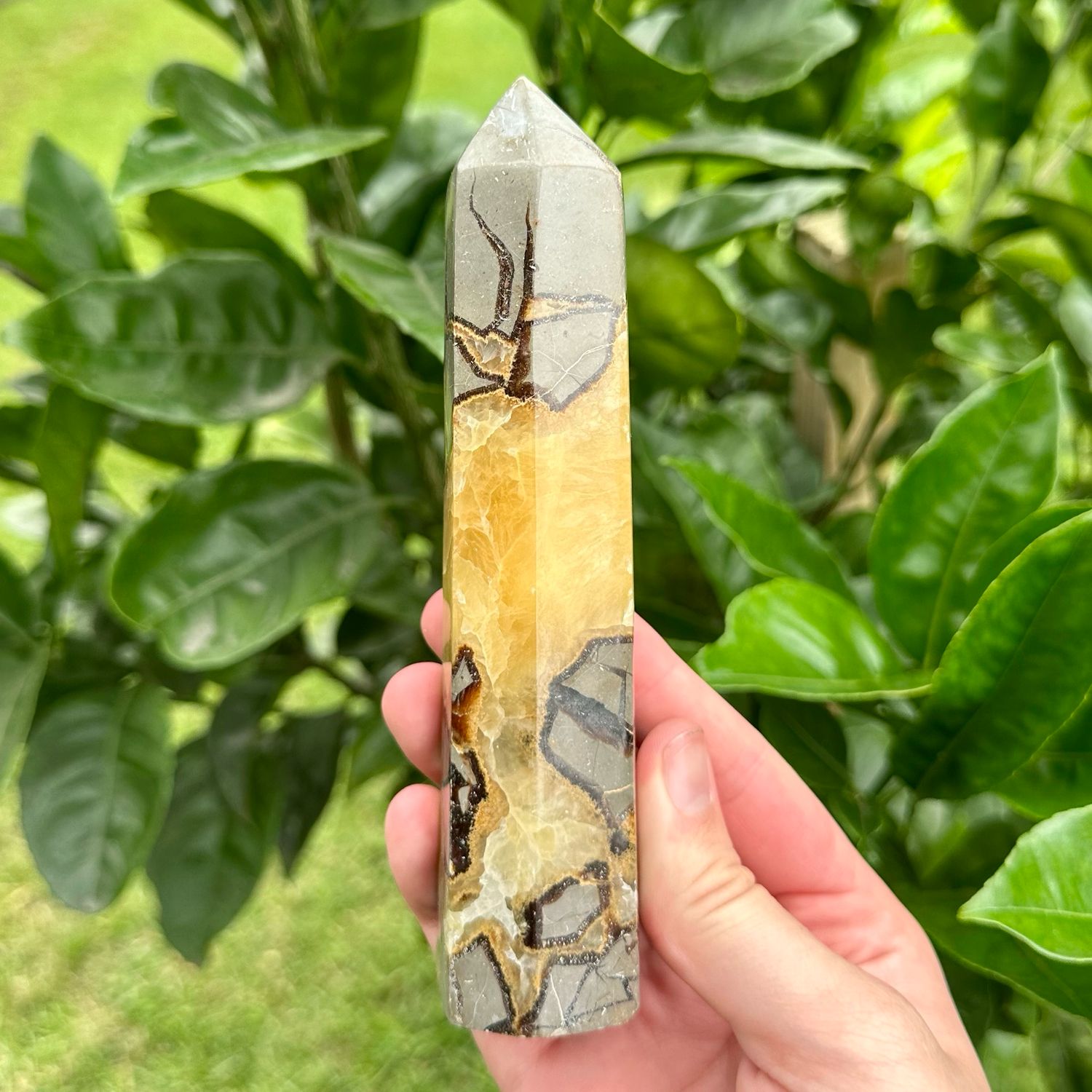 Septarian Tower
