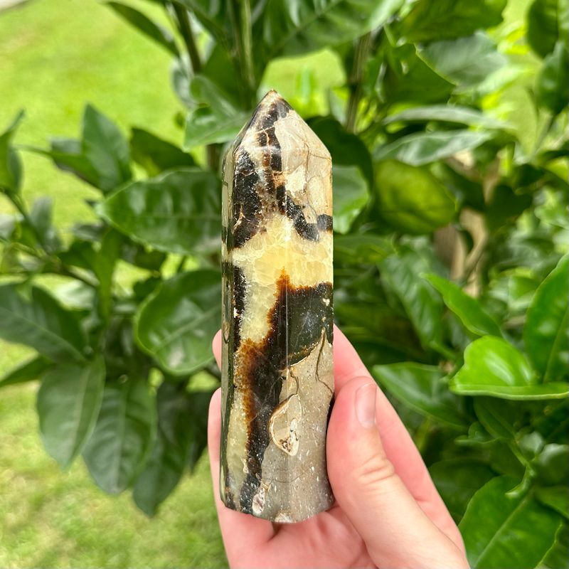 Septarian Tower