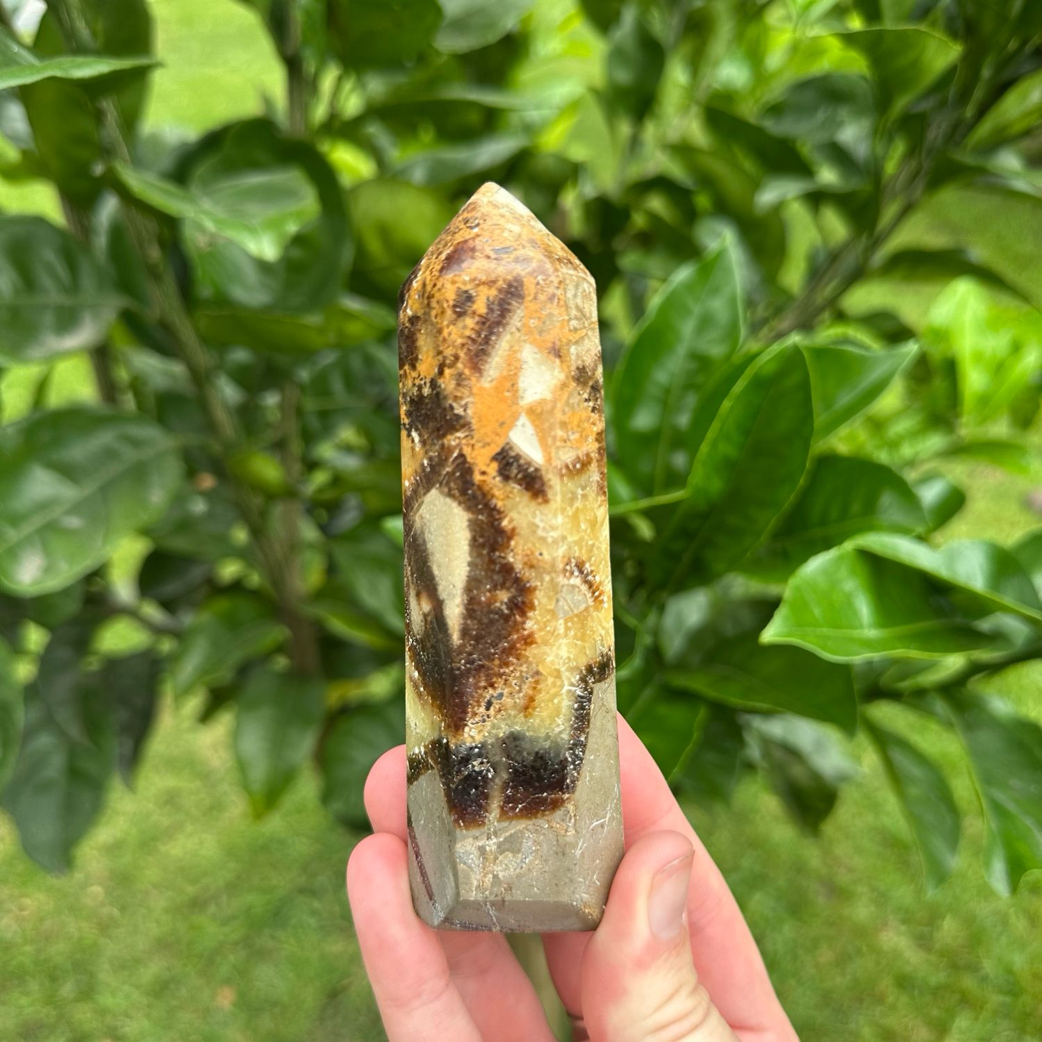 Septarian Tower