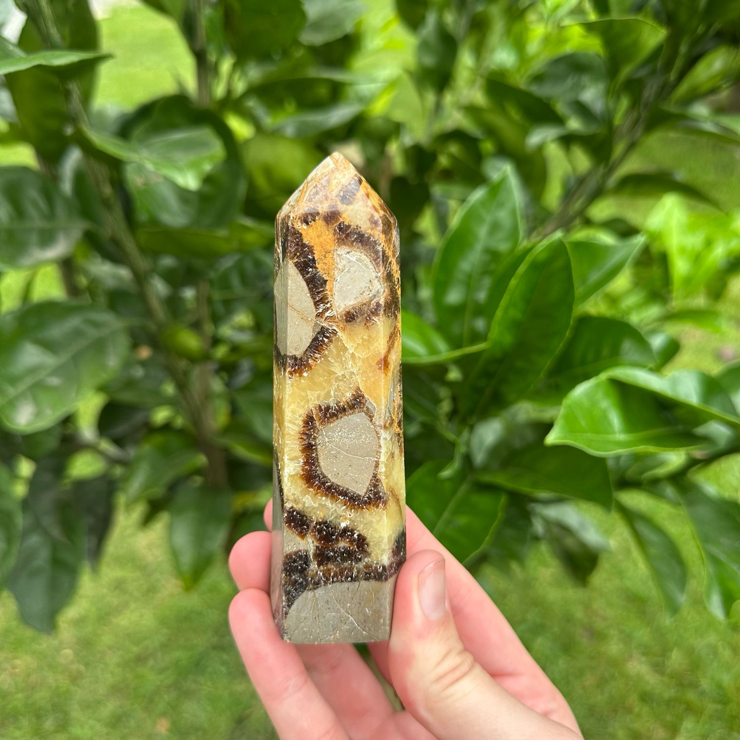 Septarian Tower