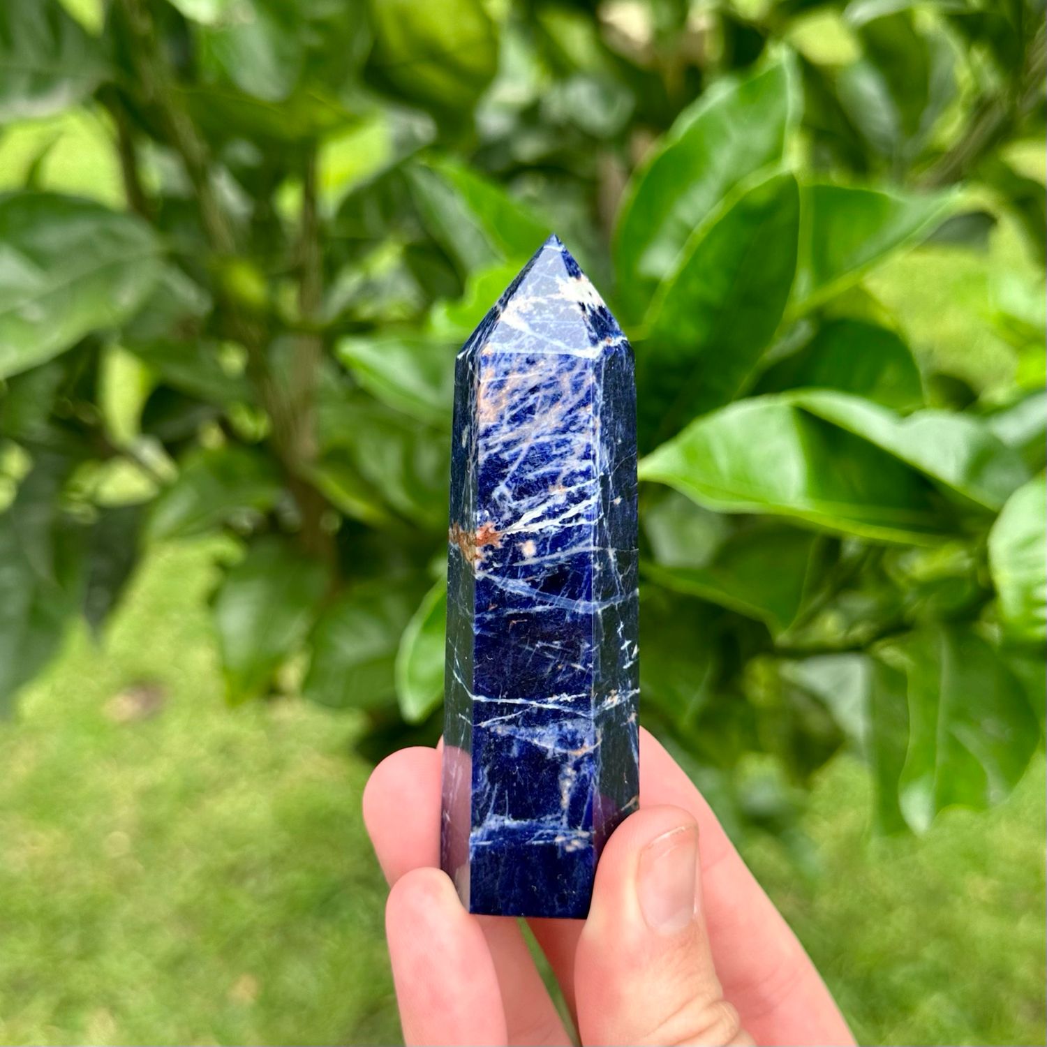 Sodalite Point
