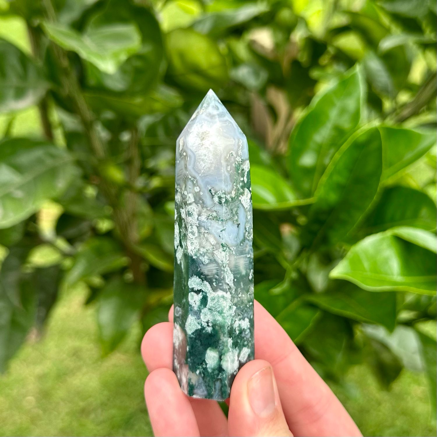 Moss Agate Point