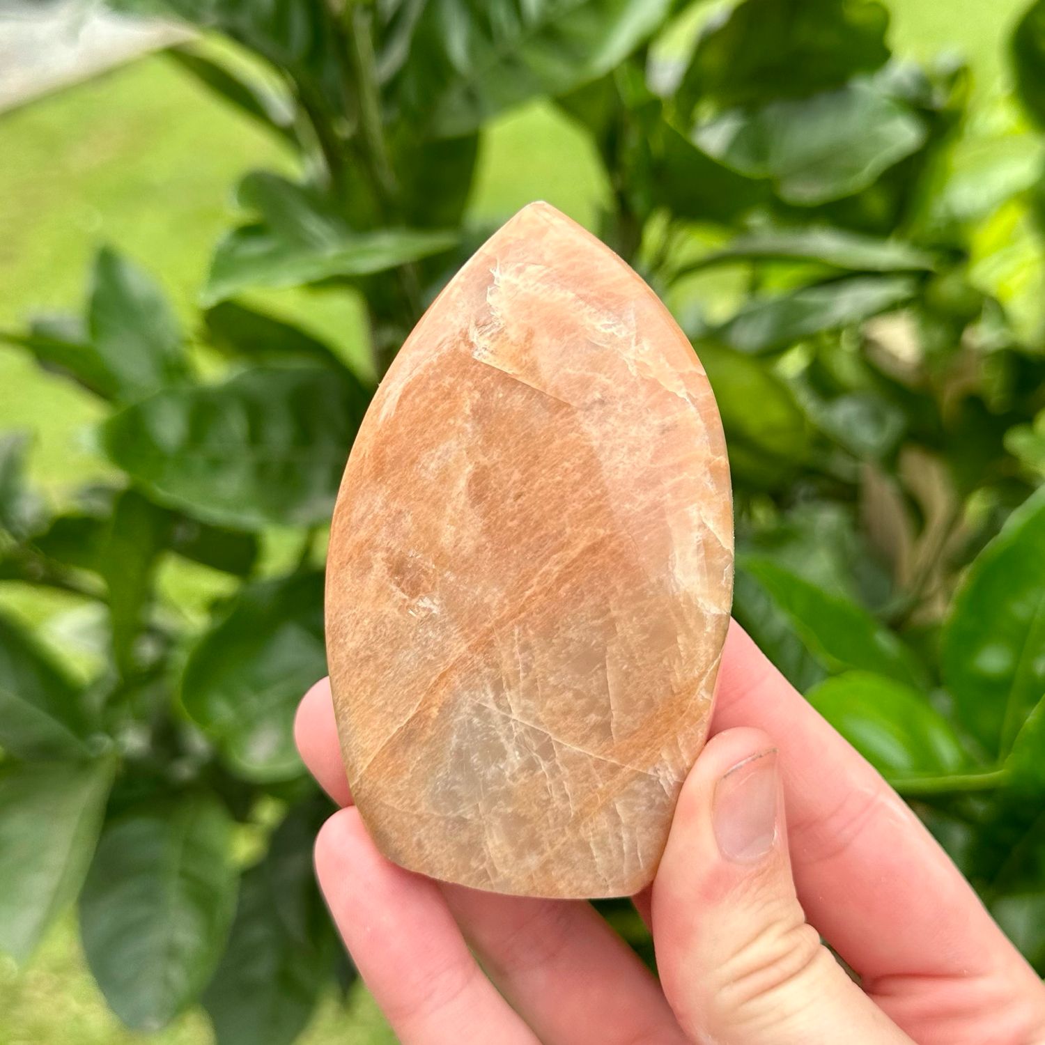 Peach Moonstone Flame