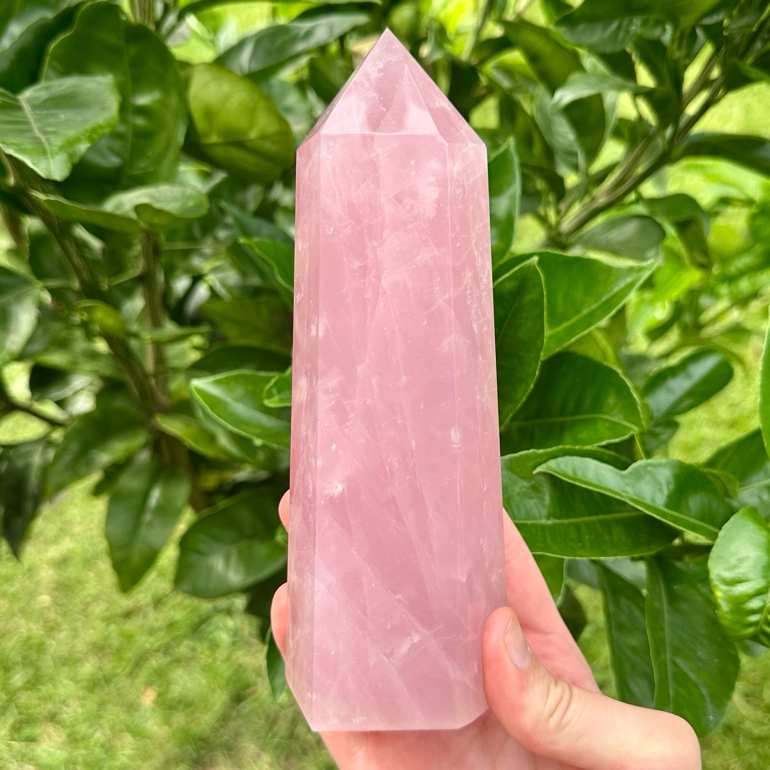 Rose Quartz Tower