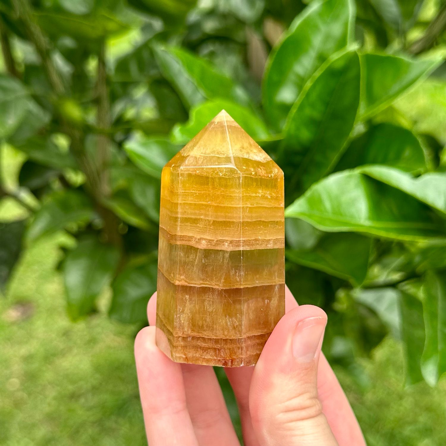 Yellow Fluorite Point