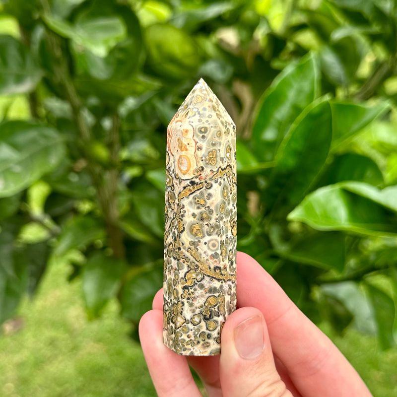 Leopard Skin Jasper Point