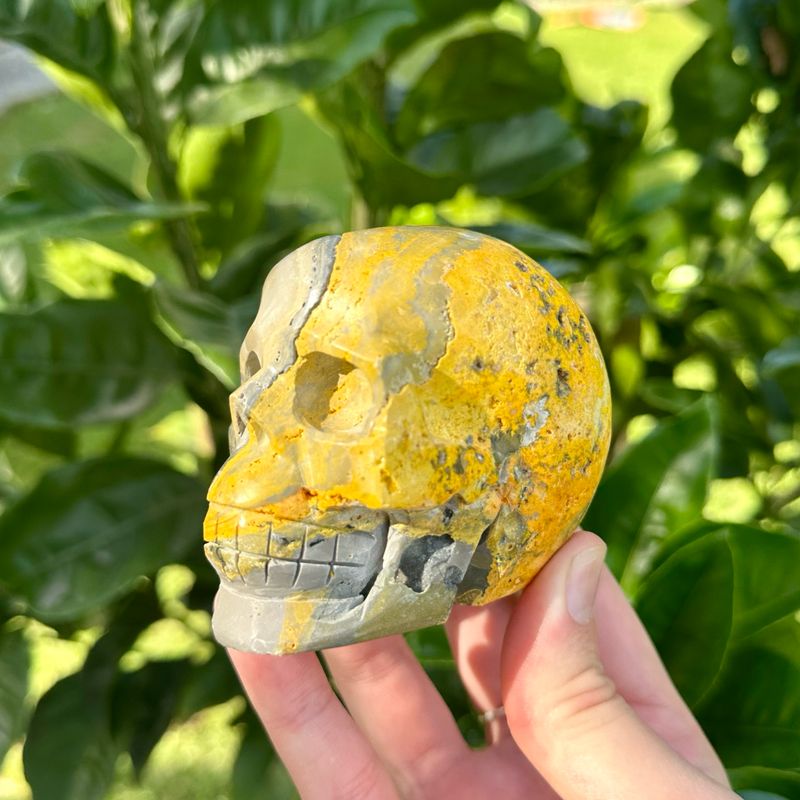 Bumble Bee Jasper Skull