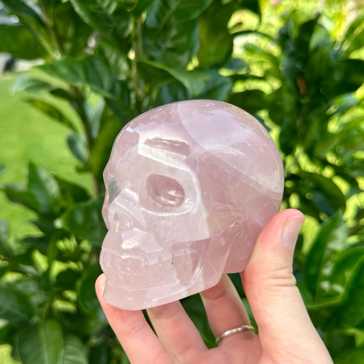 Rose Quartz Skull