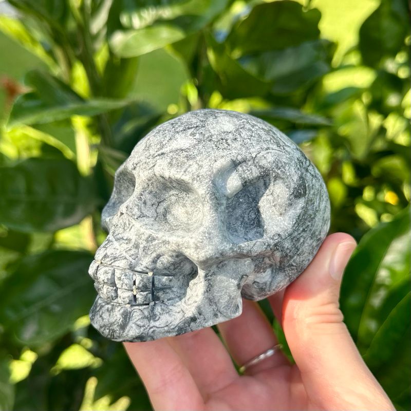 Shell Stone Skull