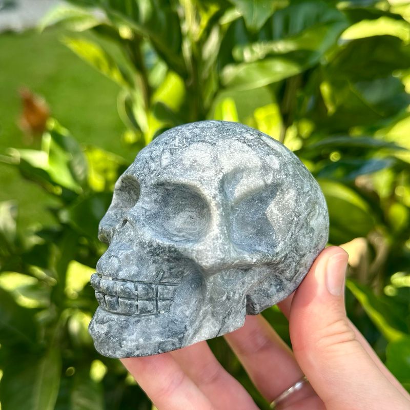 Shell Stone Skull