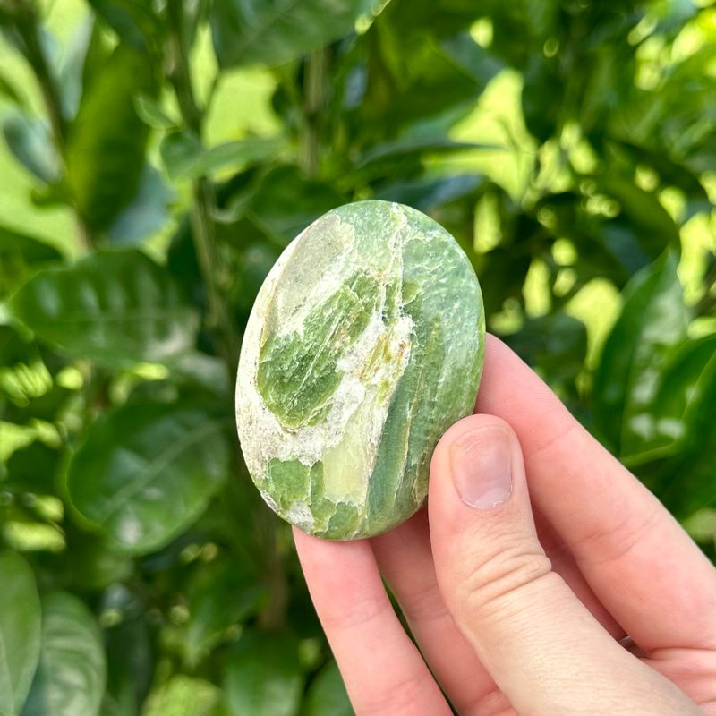 Tremolite Palmstone