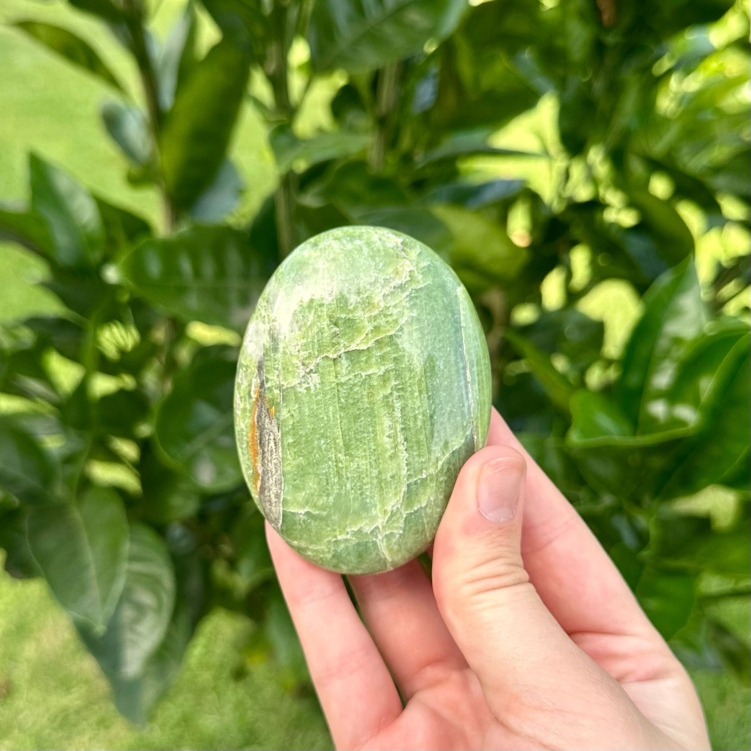 Tremolite Palmstone